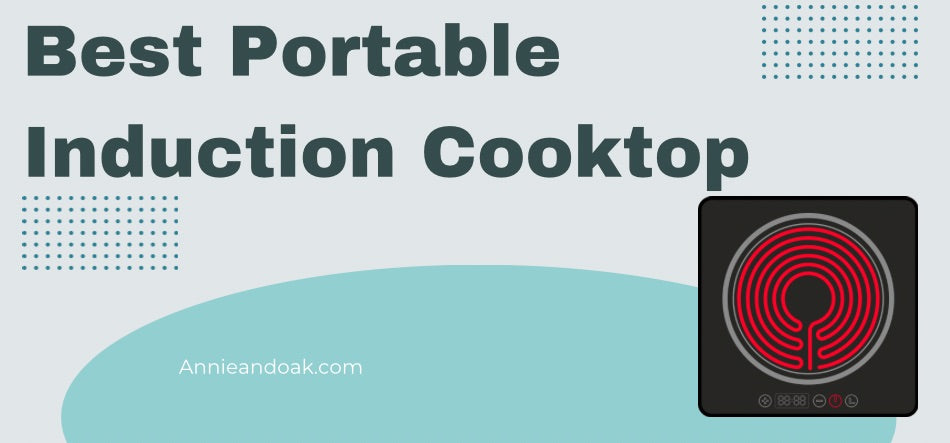 Best Portable Induction Cooktop 